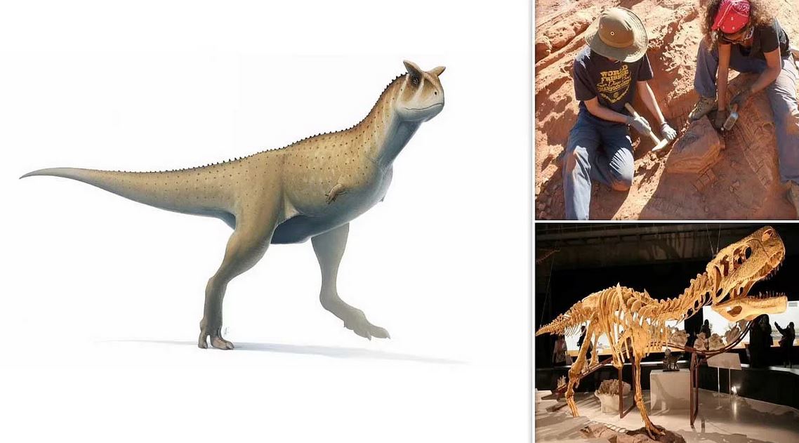 Scoperto clamoroso fossile di un dinosauro “senza braccia”: nuova specie mai vista prima
