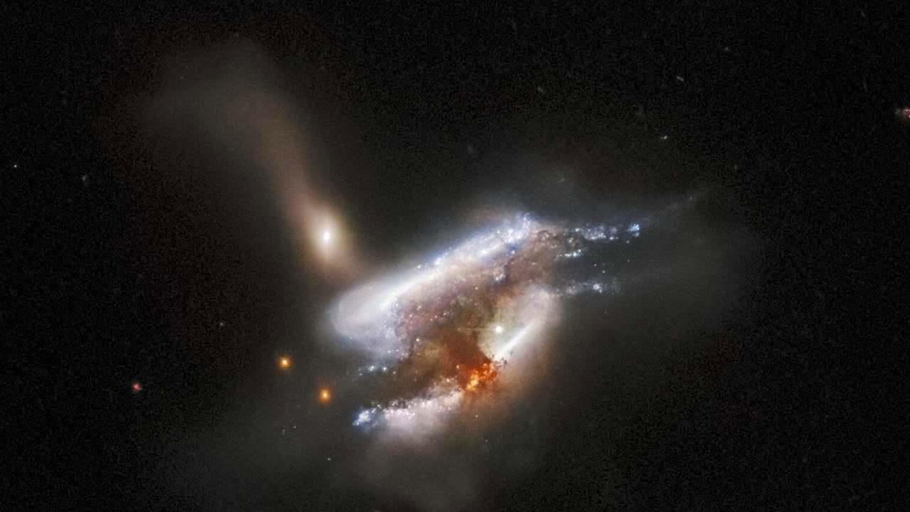 gal-1.jpg