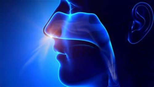 Salute: un “naso elettronico” per diagnosticare il Parkinson