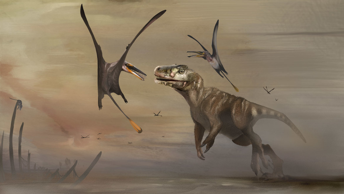 Scoperta la più grande specie di pterosauro giurassico. Viveva 170 milioni di anni fa