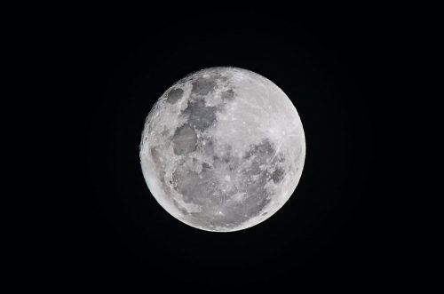 Forse la Luna ospita esseri viventi provenienti dalla Terra