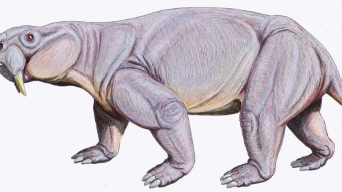 Un antenato dei dinosauri scoperto in Brasile. Era lungo meno di un metro