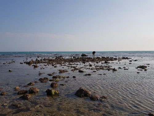 Dopo due secoli riappare in Sicilia un isolotto molto antico, clima e maree le possibili cause