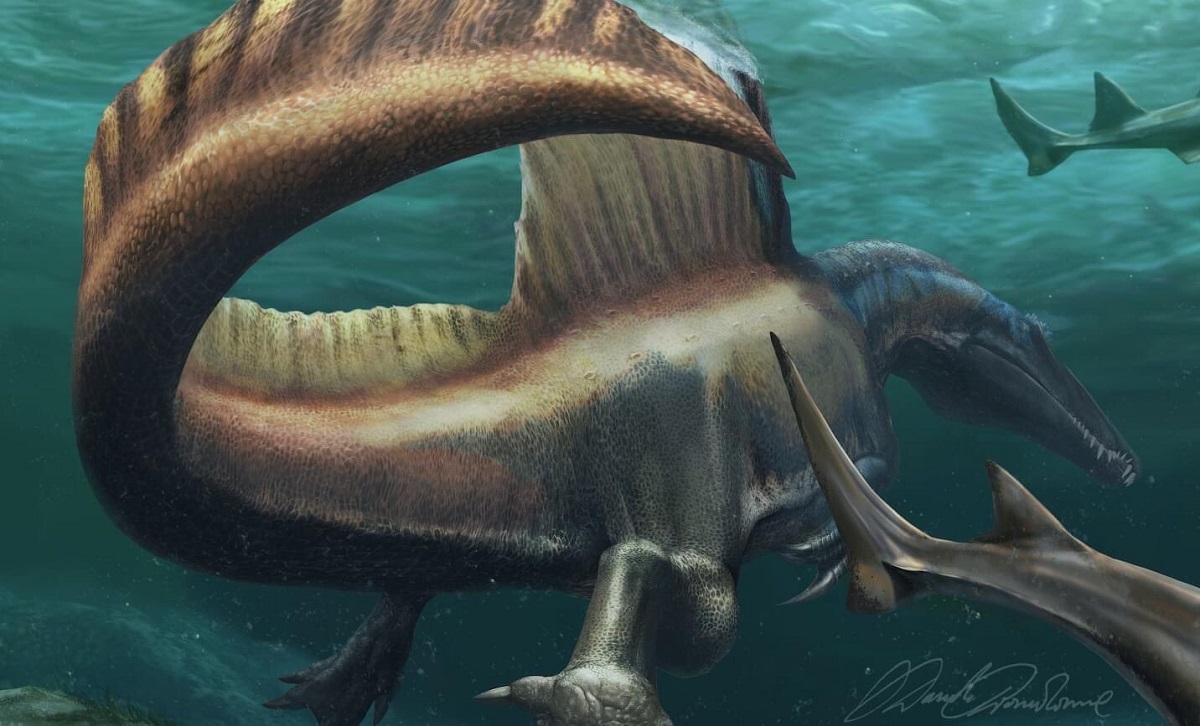 Spinosauro-1.jpg