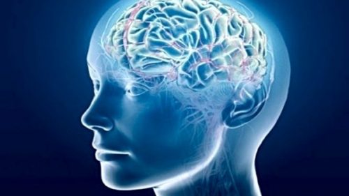 Cervello: scoperta la centralina dell’egoismo o altruismo, importante per combattere autismo e schizofrenia