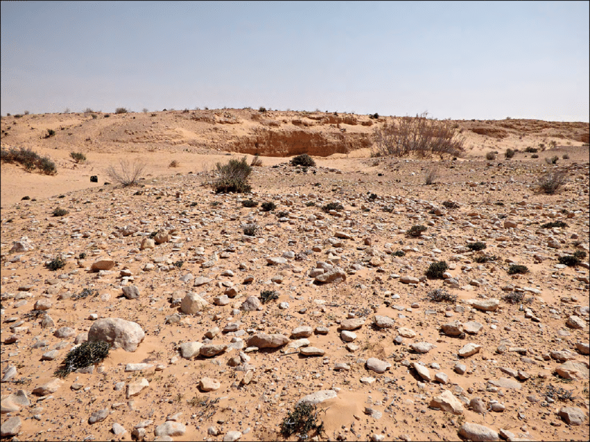 ‘Tecnologie’ di 300mila anni fa scoperte nel Sahara
