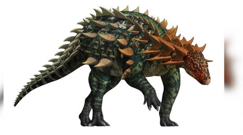 Scoperto nuovo tipo di dinosauro corazzato dalle caratteristiche uniche: risale al primo Giurassico