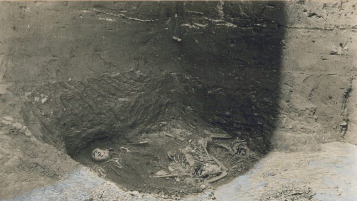 m_1bbb-741x486-1-1.jpg