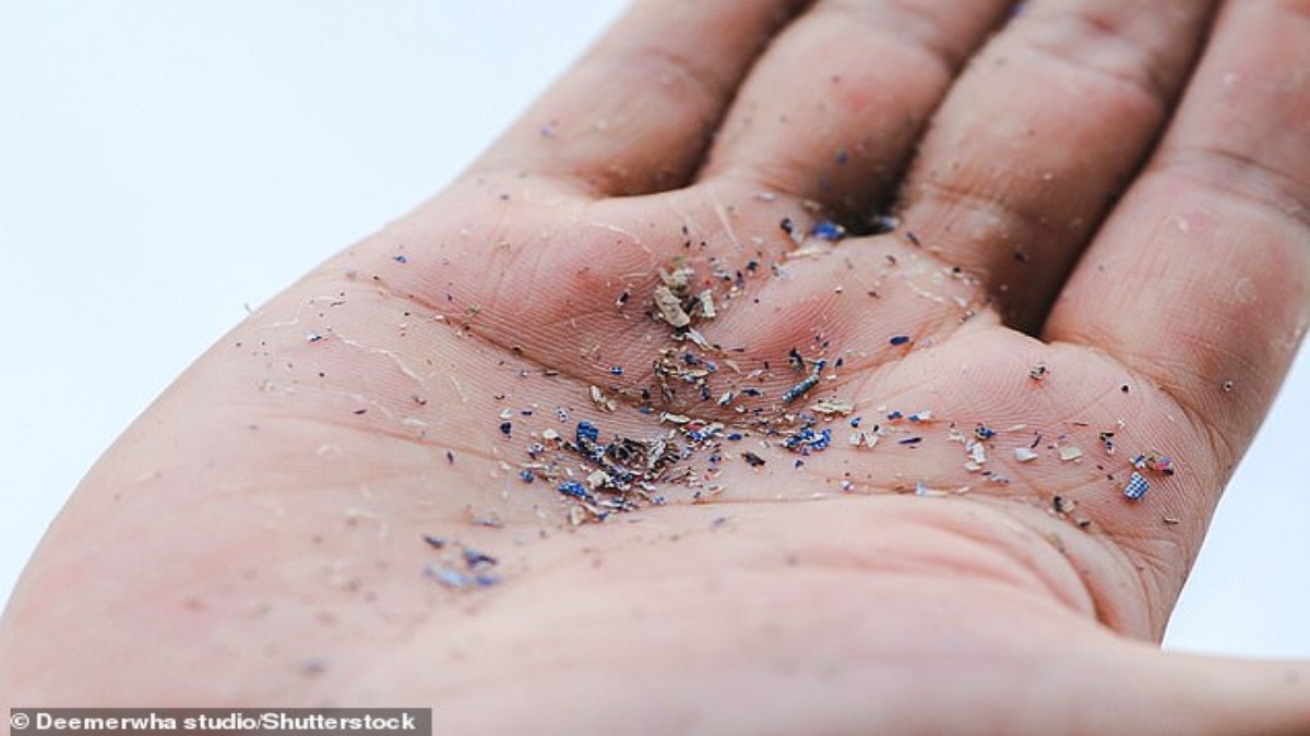 m_55744623-10647295-Microplastics_are_tiny_pieces_of_plastic_less_than_0_2_of_an_inc-a-20_1648120486470-1.jpg