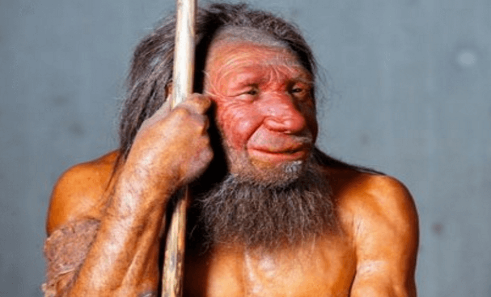 m_homo-sapiens-2-1.png