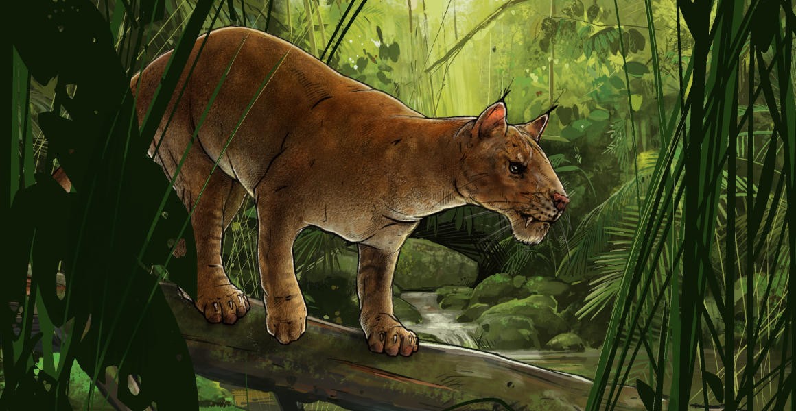 sabre-tooth-full-width-1.jpg.thumb_.1160.1160-1.jpg