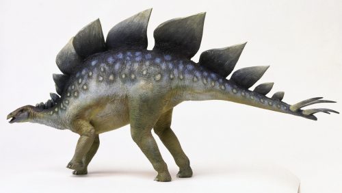 Paleontologia: scoperto lo stegosauro più antico