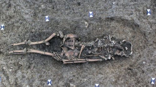 Scoperti 10 scheletri e monete romane durante gli scavi per realizzare uno stadio ecologico