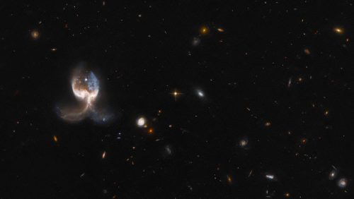 Il telescopio spaziale Hubble cattura un’ ‘ala d’angelo’ formata dalla fusione di 2 galassie