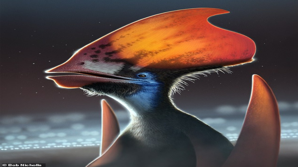 Gli pterosauri erano in grado di cambiare il colore delle loro piume per attirare le femmine