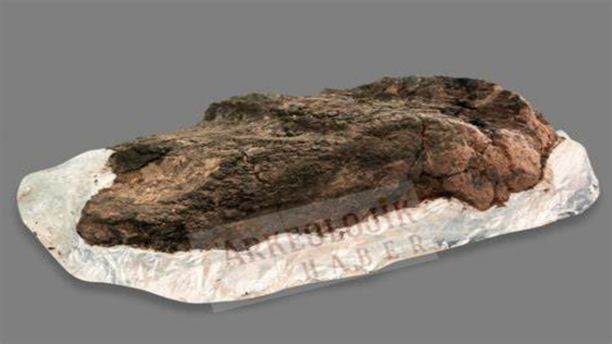 Turchia: scoperta una scala di legno risalente a 8.500 anni fa