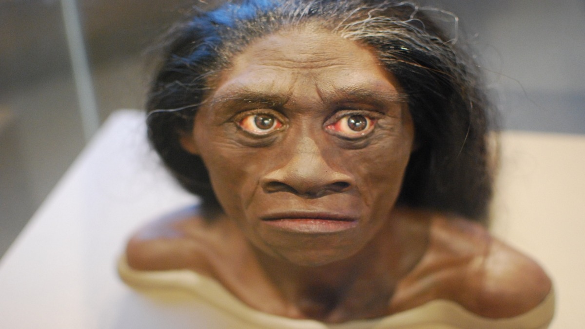 L’homo floresiensis è ancora vivo? Ecco l’incredibile ipotesi degli esperti