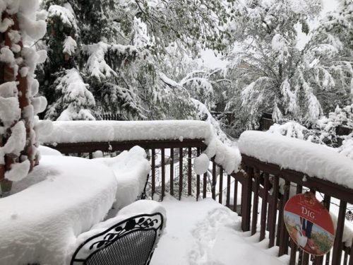 Da 30 gradi alla neve in poche ore: l’incredibile sbalzo delle temperature in Colorado