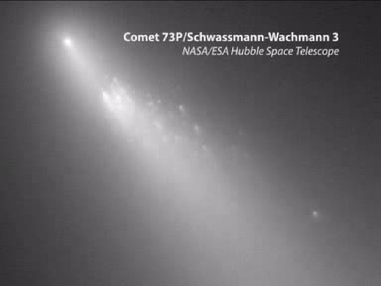 cometa-1.jpg