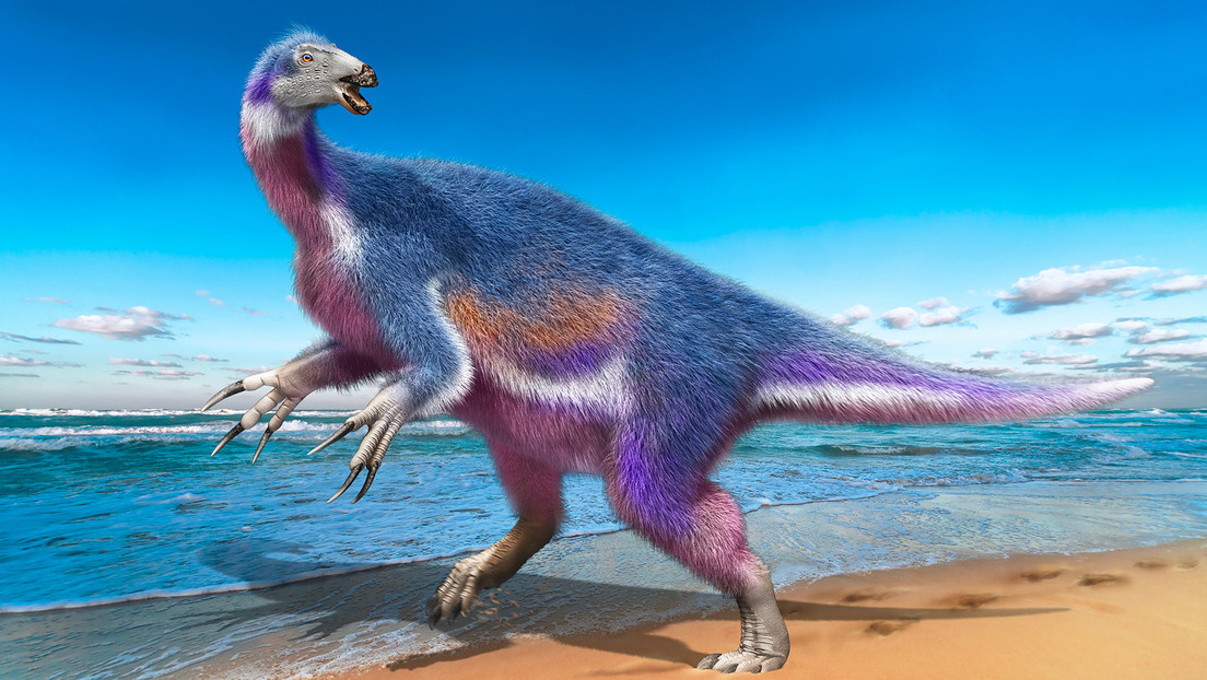 dinosauro-1.jpg