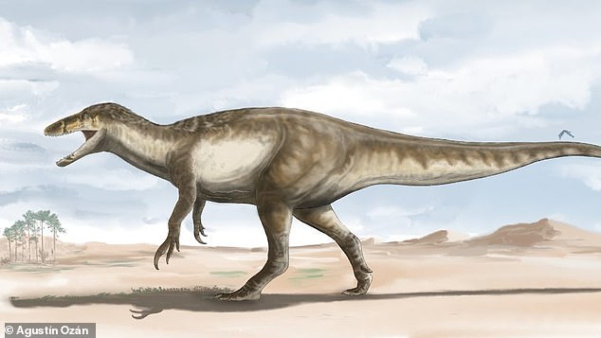 Argentina: identificati i resti fossili del Megaraptor più grande fino ad ora mai scoperto