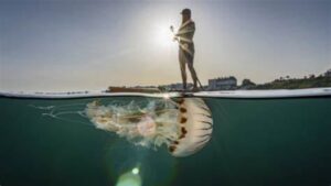 “Una convivenza pacifica”: ecco il titolo di questo bellissimo scatto