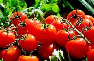 Arriva il nuovo pomodoro biofortificato che contrasta la carenza di Vitamina D