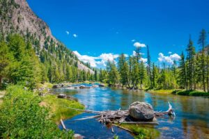 Yellowstone