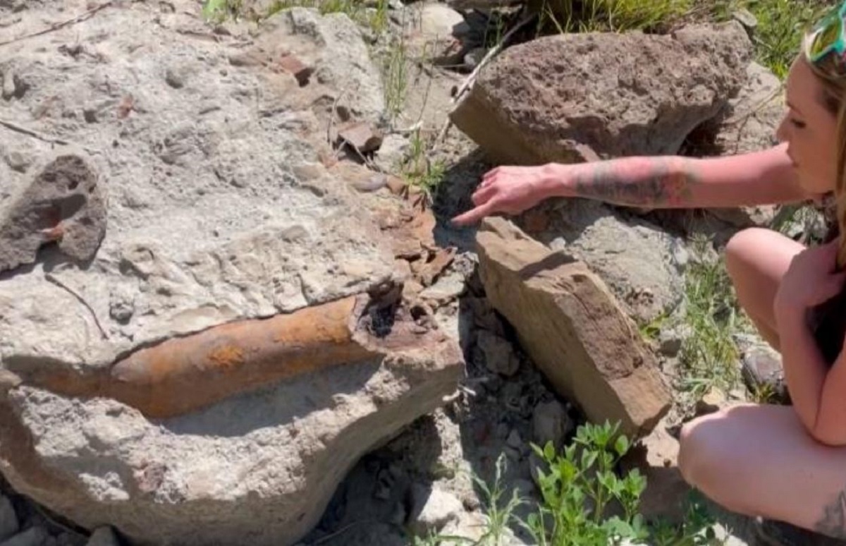 Coppia scopre osso di un grande dinosauro nel terreno della loro nuova proprietà