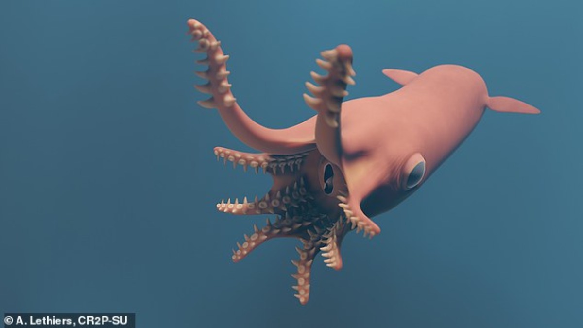 Scoperto un antico antenato del calamaro vampiro che “risucchiava” le sue prede
