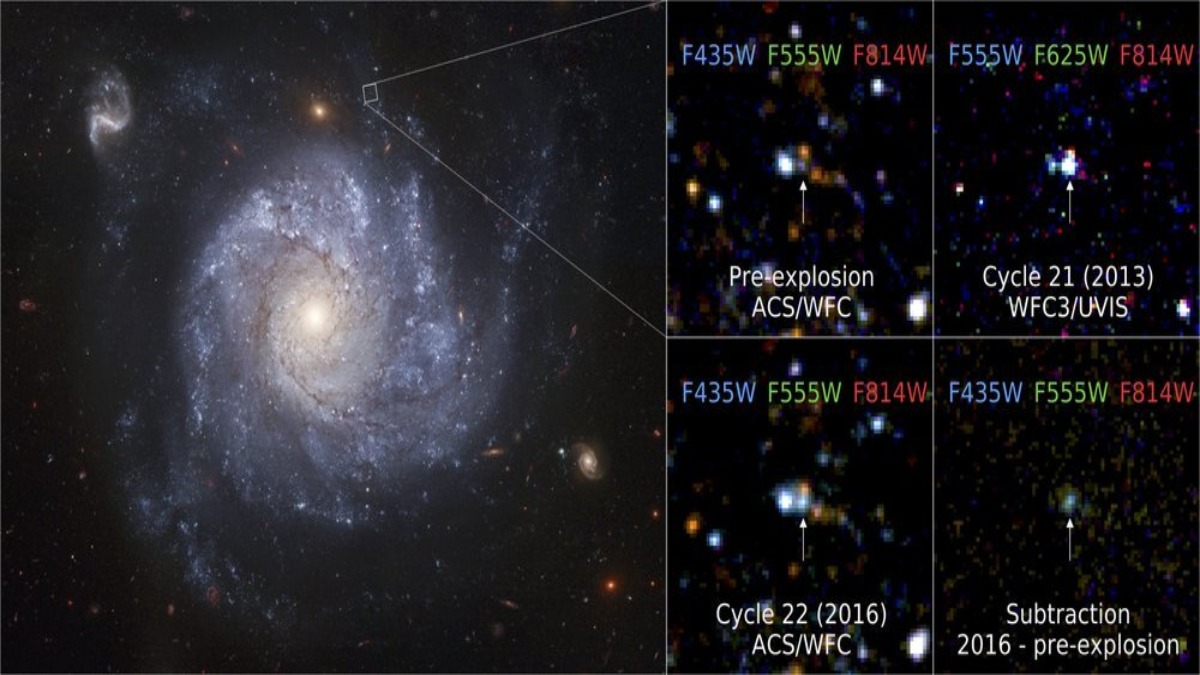 m_the-star-that-survived-1-1.jpg