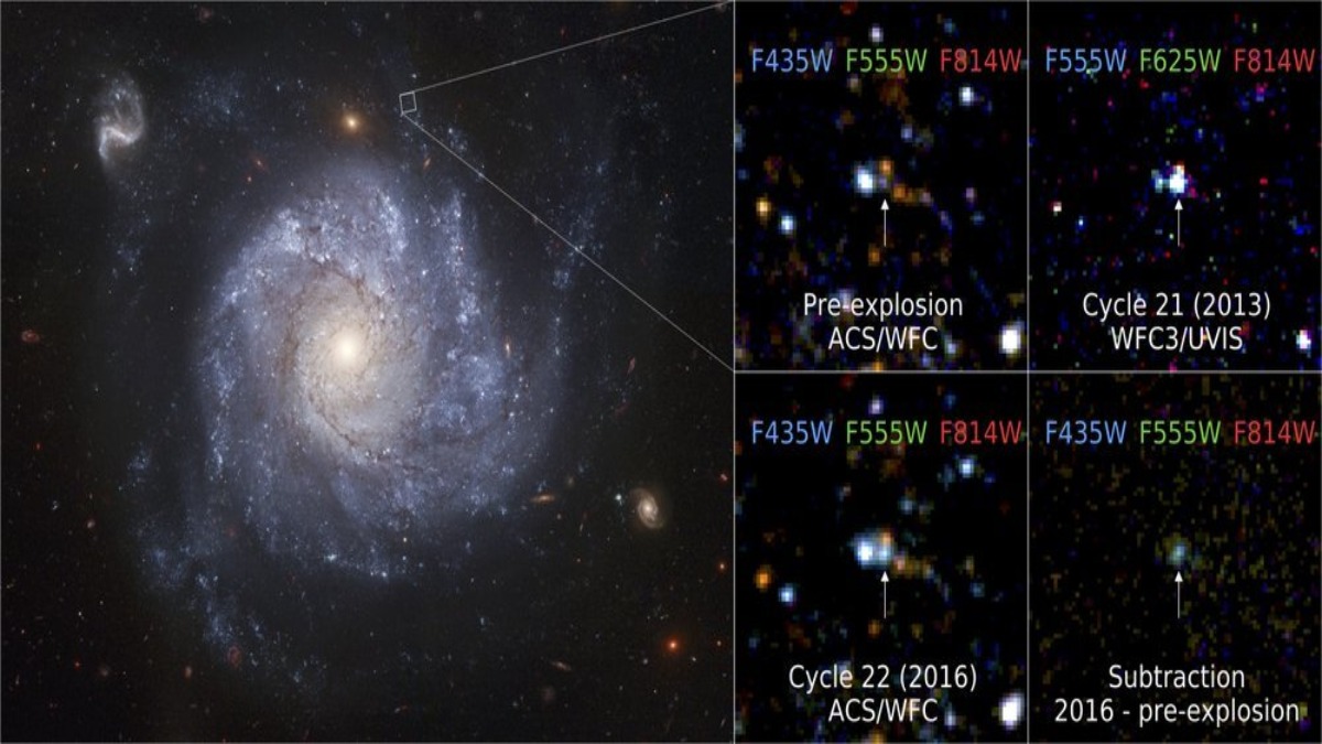 Astronomia: osservata una stella sopravvissuta ad una supernova