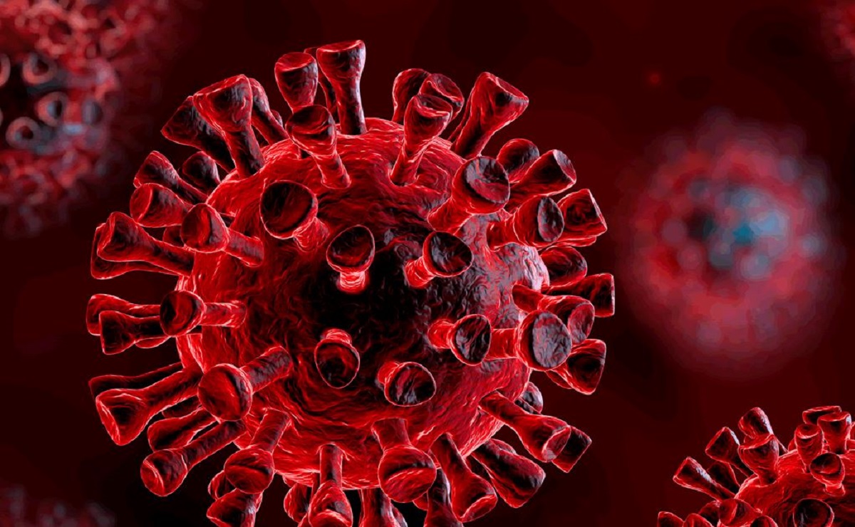 Scoperto nuovo Coronavirus nei roditori europei: può fare il salto di specie all’uomo?