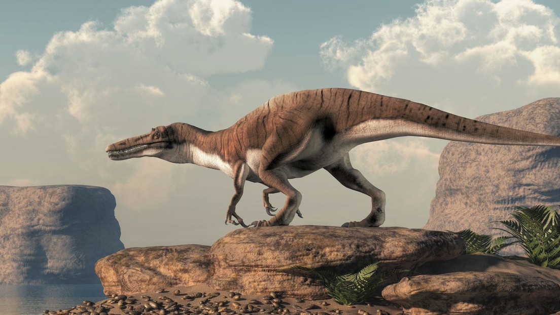 spinosauro-1.jpeg