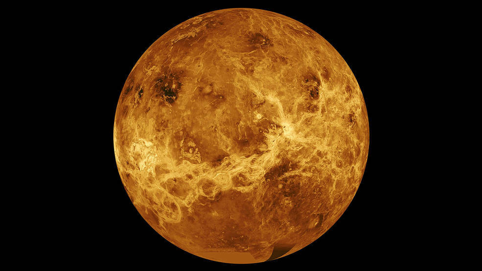 venere-1-1.jpg