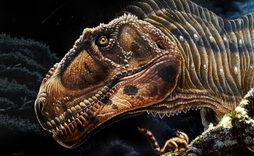 Scoperto enorme dinosauro con zampe ”piccole” come il Tirannosauro