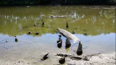 fiume-oglio-1.jpg
