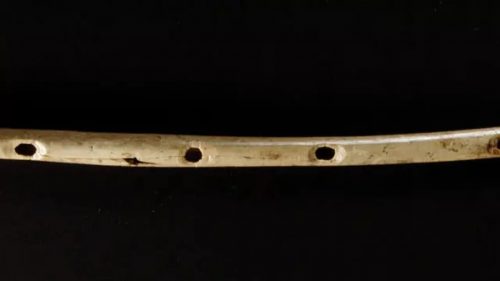 Un flauto di 40mila anni fa è lo strumento musicale più antico mai scoperto