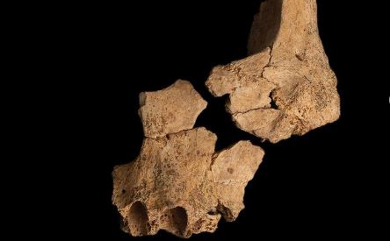 Il volto più antico d’Europa scoperto in Spagna. Risale a 1,4 milioni di anni