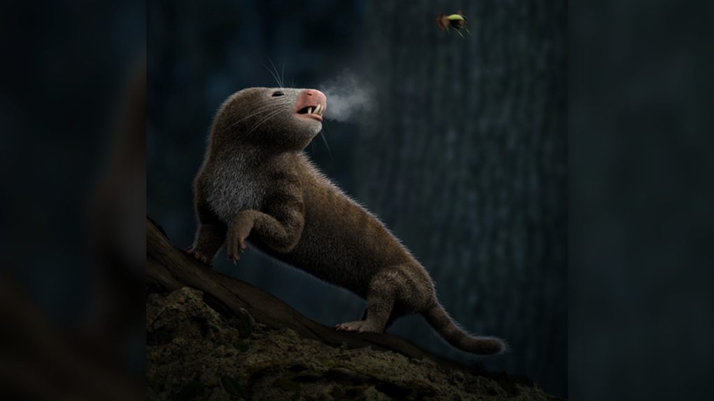 m_1658347773_Scientists-pinpoint-the-exact-moment-in-evolutionary-time-when-mammals-1024x576-1-1.jpeg