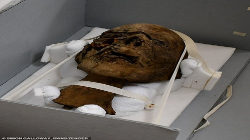 Testa di una mummia scoperta in una soffitta in Inghilterra