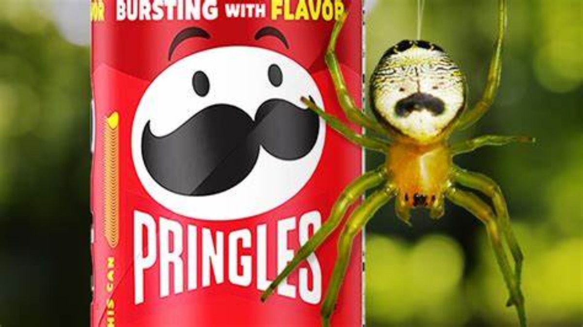 Il ragno con i “baffi” diventerà la nuova mascotte Pringles
