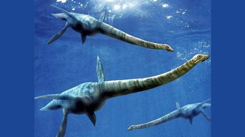 Fossili di Plesiosauri scoperti nel Sahara suggeriscono che non erano solo animali marini
