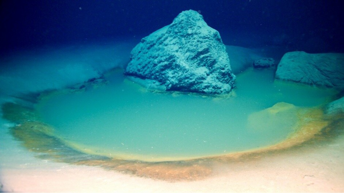 Scoperte pozze di acqua salata nelle profondità del Mar Rosso