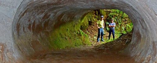 Un animale gigantesco ha costruito dei tunnel preistorici in Brasile