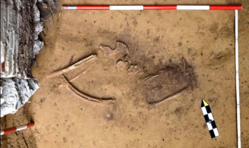 Antica tomba di una donna con gioielli scoperta sotto ad un asilo nido: ha 4000 anni
