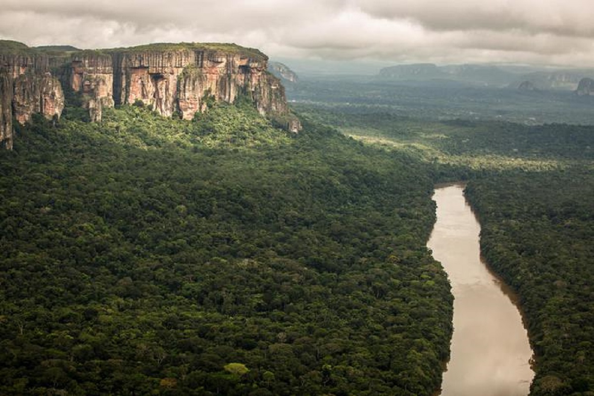 Amazzonia: grazie all’Intelligenza Artificiale individuate aree a forte rischio di deforestazione