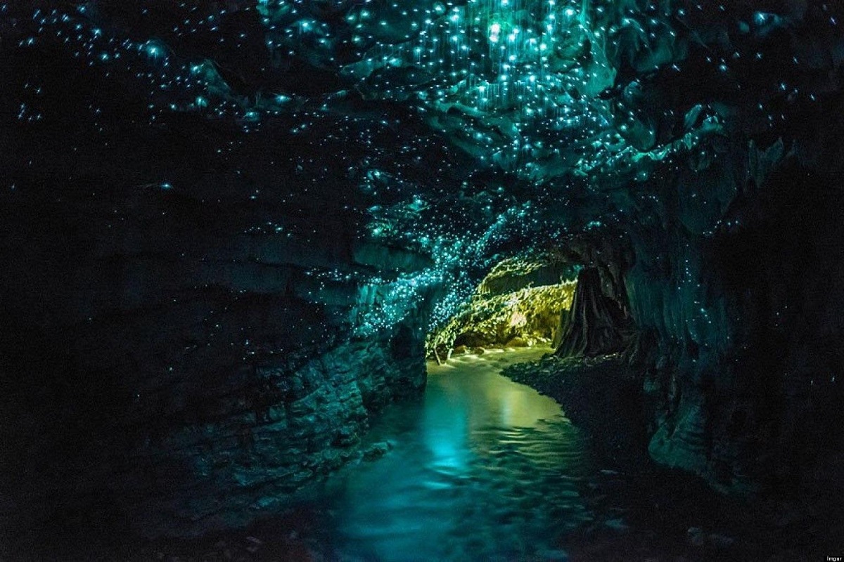 Nuova Zelanda: si chiamano Waitomo Caves e sono grotte calcaree che al buio si illuminano come un cielo stellato