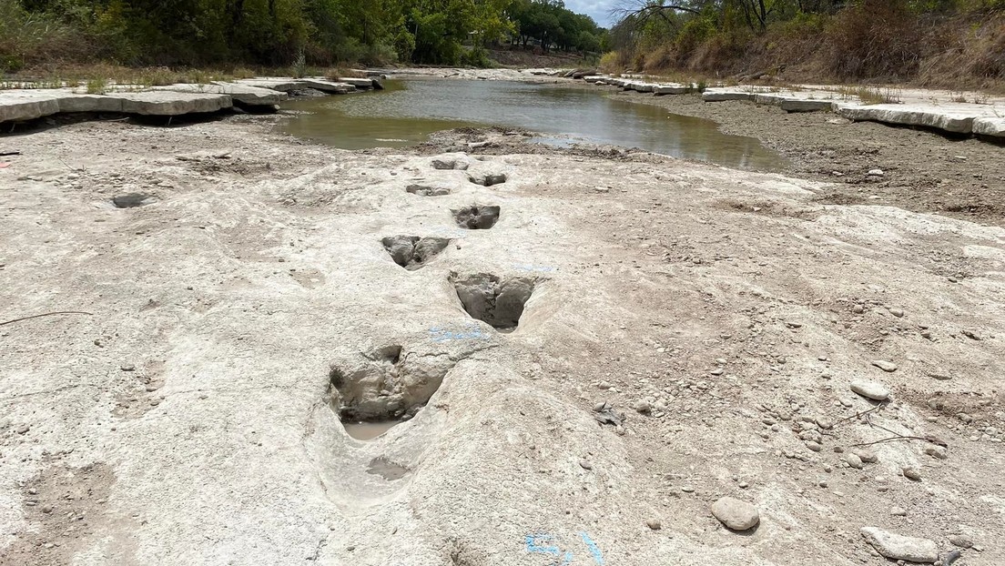 La siccità in Texas fa emergere gigantesche impronte di dinosauri