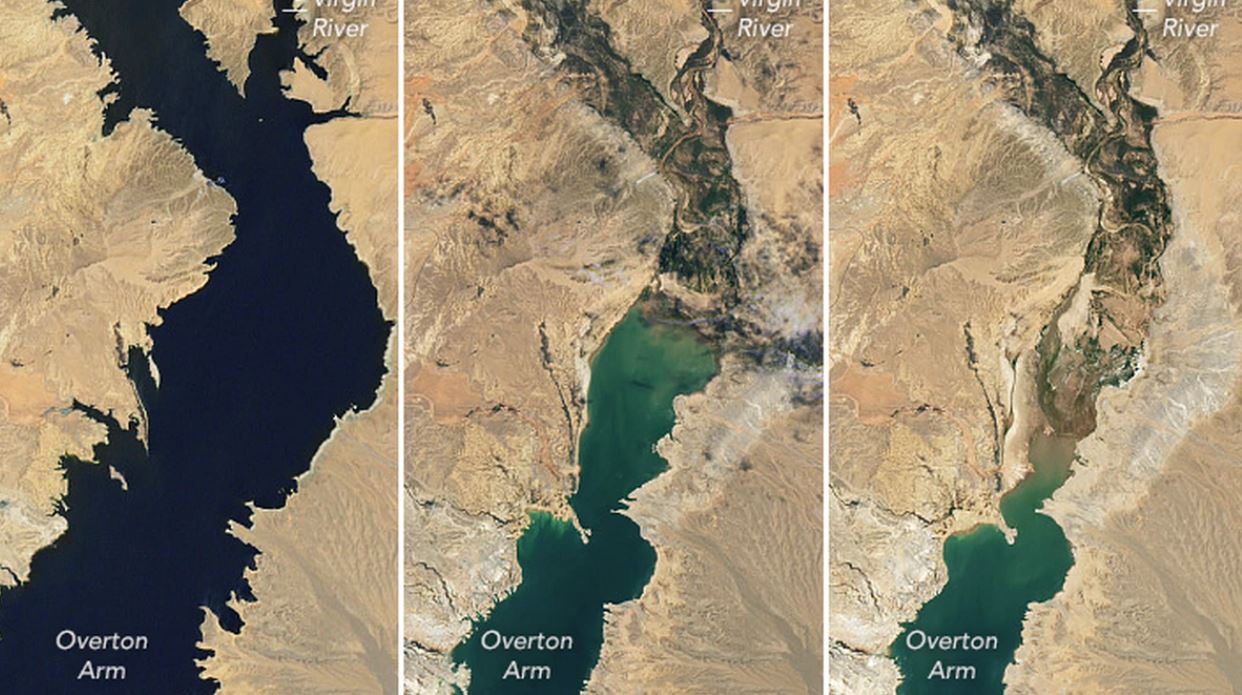 Lake Mead, scoperta una quarta serie di resti umani, trovati a causa della siccità